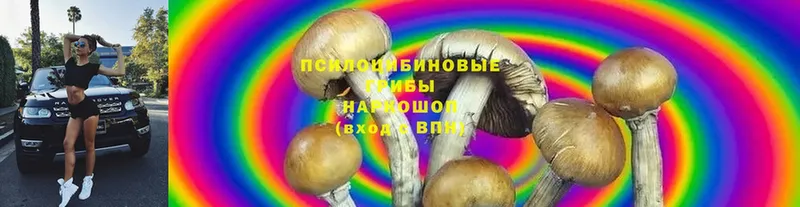 Галлюциногенные грибы Psilocybe  как найти закладки  KRAKEN как зайти  Арсеньев 